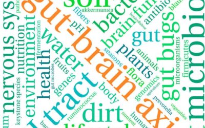 Inflammatorisk tarm og Parkinsons sygdom
