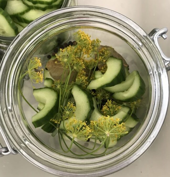 Syltede salatagurker