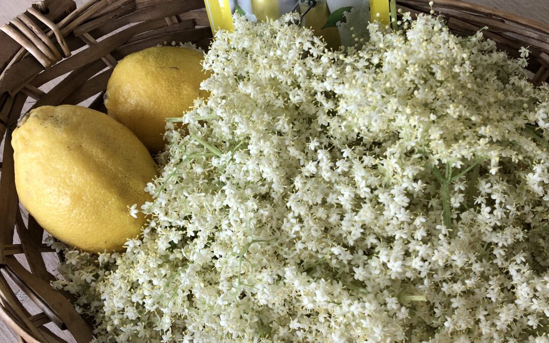 Hyldeblomst saft