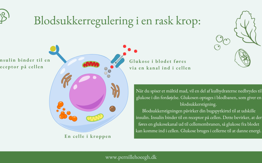 Hvad er insulinresistens?