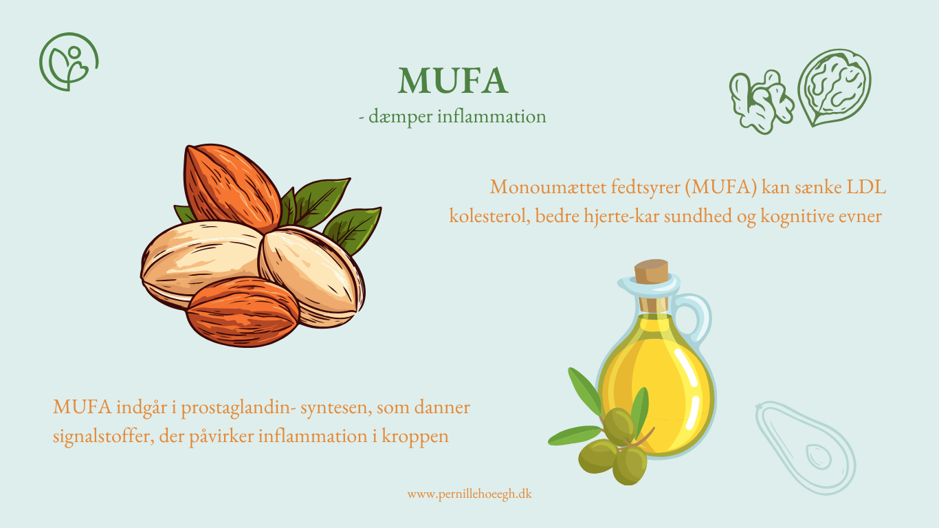 monoumættede fedtsyre antiinflammatorisk kost cellen membraner