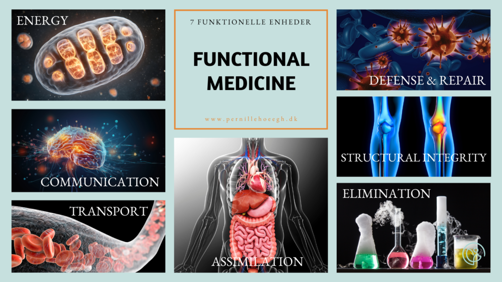 functional medicine, detox